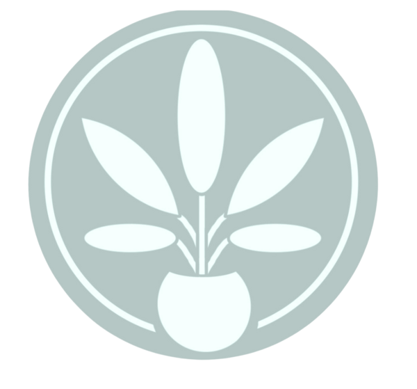 Therapeutic Conversations