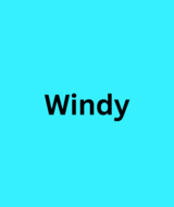 Book an Appointment with Windy R at Torrance
