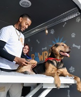 Book an Appointment with Brandon Baxter at Palms N Paws Mobile Phoenix