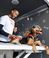 Book an Appointment with Brandon Baxter for Canine Massage Therapy