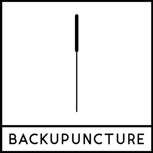 Backupuncture of Denver