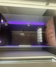 Book an Appointment with Halotherapy (Salt) Booth Wellness for Halo (Salt) Booth