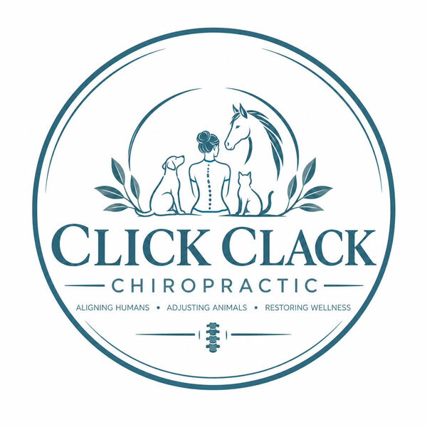 Click Clack Chiropractic